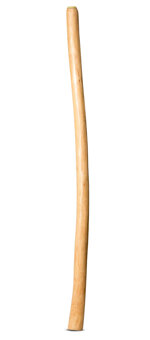 Natural Finish Didgeridoo (TW1082)